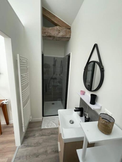 Maison Les Iris - 3 Chambres Et 3 Salles De Bain - 3 A 6 Personnes - Futuroscope アヴァントン エクステリア 写真